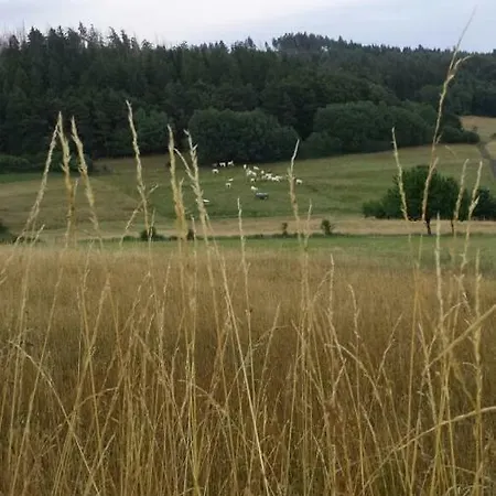 Winterberg Fur 4 Personen, Ruhe Pur In Der Natur * Frankenau