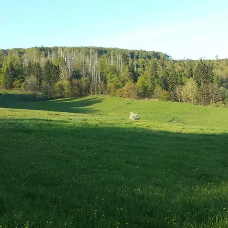 Apartament Winterberg Fur 4 Personen, Ruhe Pur In Der Natur Frankenau