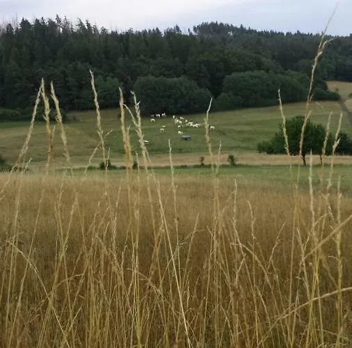 Winterberg Für 4 Personen, Ruhe Pur In Der Natur * Frankenau