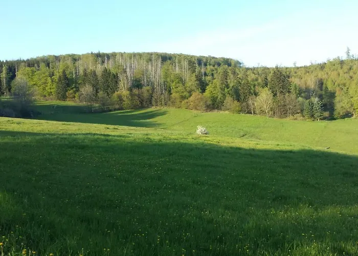 Apartment Winterberg Für 4 Personen, Ruhe Pur In Der Natur Frankenau